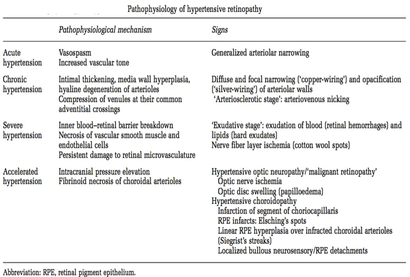 Systemic Diseases & Eye – HT & EYE